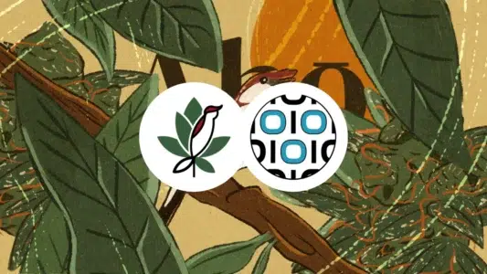 Case Instituto Ahô e ZionLab: plataforma digital com automação, logística integrada, Tiny ERP, SEO técnico e AEO