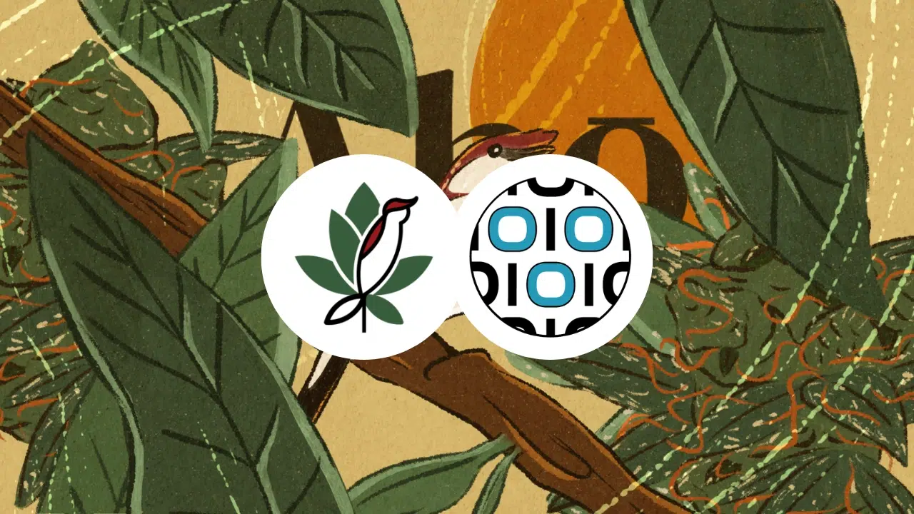 Case Instituto Ahô e ZionLab: plataforma digital com automação, logística integrada, Tiny ERP, SEO técnico e AEO
